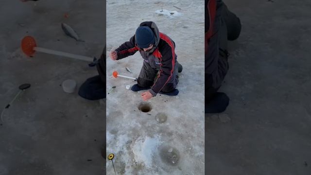 Рыбалка на дикой реке. #fishing #shorts
