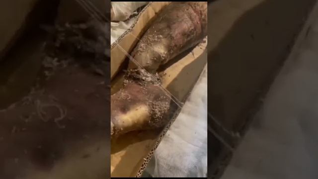 группа эвакуации смотреть онлайн