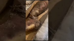 группа эвакуации