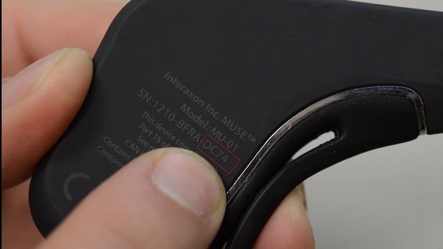 How to connect to a 2014 headband to Muse Direct for Windows смотреть онлайн
