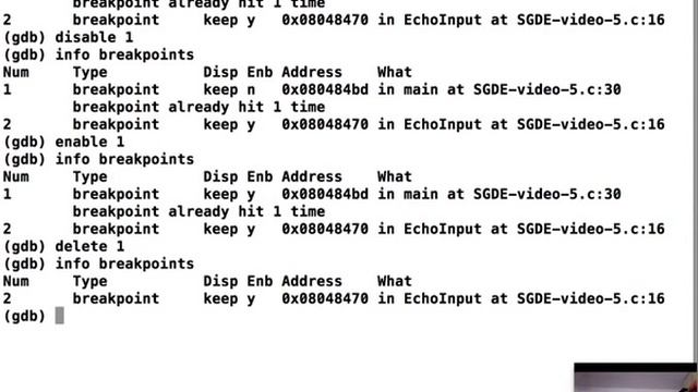 SecurityTube GNU Debugger Expert - Part 5: Breakpoints, Examining Registers and Memory смотреть онлайн
