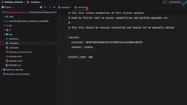 4 Flutter Directory Structure - Which files or folder are important смотреть онлайн
