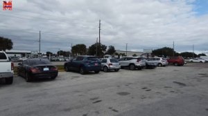 Бездомные в США. Прогулка под мостом и депортация залётчиков. Дальнобой по США.