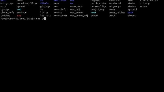 Recovering executables смотреть онлайн