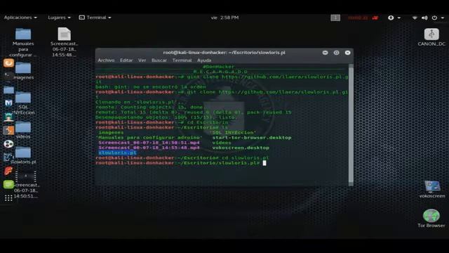 Prueba de DoS con kali linux смотреть онлайн