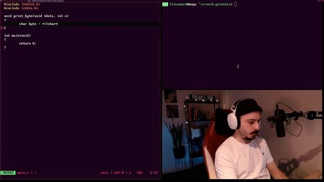 Void pointers in C are LIT смотреть онлайн
