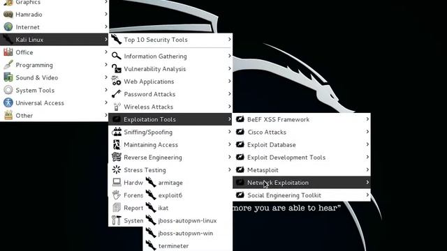 Kali Linux 1.1.0 a quick tour смотреть онлайн