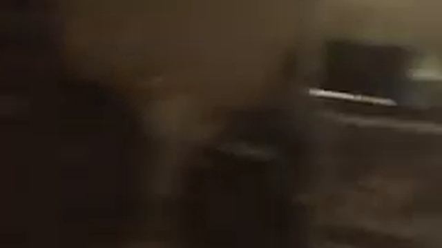 video de black cat смотреть онлайн
