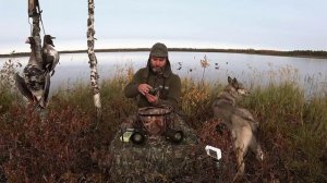 Видео обзор динамика Альфа wifi Hunterhelp