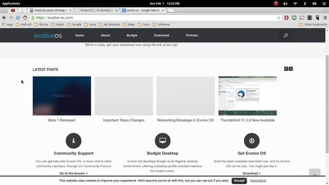 Linux 101: Evolve OS, A Distro Worth Keeping An Eye On -TechByDMG.com смотреть онлайн
