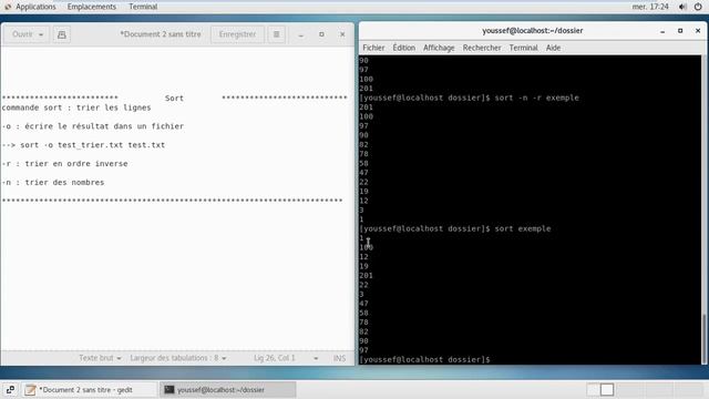 20- commande de base linux : sort- trier les lignes смотреть онлайн