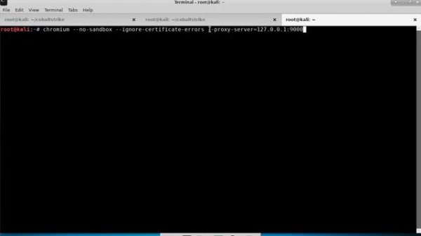 Browser Pivoting (Cobalt Strike 4.0)