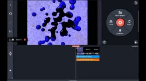 How to make G Major 4 on KineMaster
