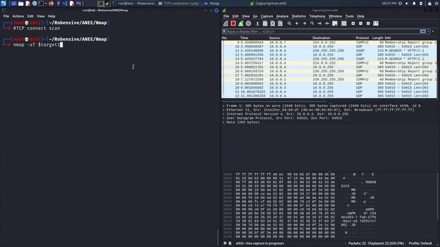 01 TCP Connect Scan смотреть онлайн