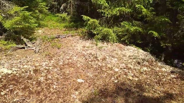 Топорок Каташино смотреть онлайн