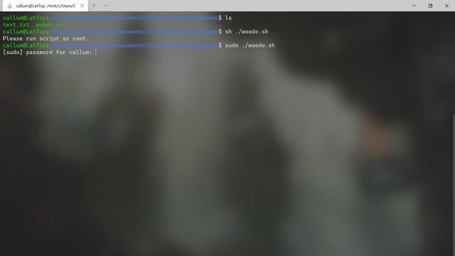 sudo woodo - An unfunny linux meme смотреть онлайн
