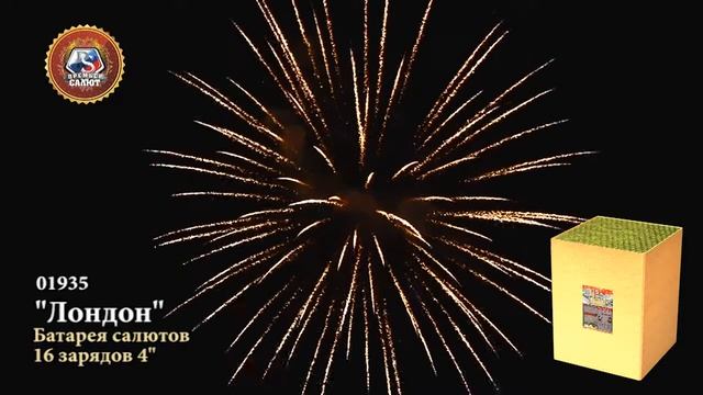 Профессиональный салют 4" х 16 залпов