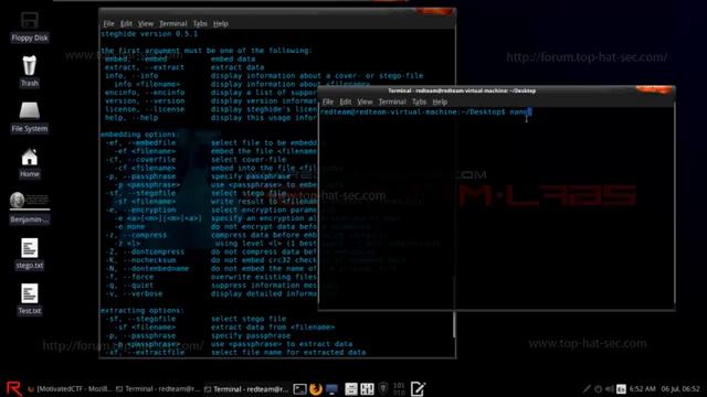 Steganography Motivated CTF (THS) смотреть онлайн