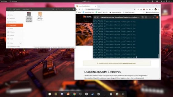 how to install & run houdini on linux (ubuntu)