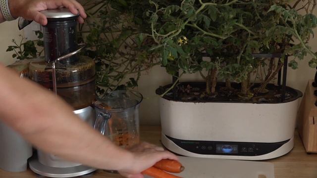 Fast Easy Juicing Recipes - Apple, Carrot, Ginger and Lemon. Breville made easy for beginners смотреть онлайн