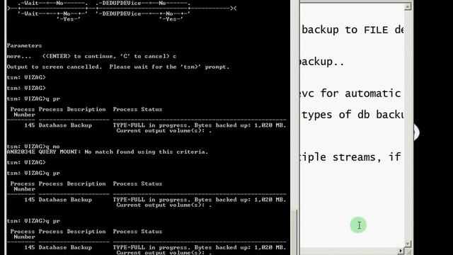 How to take incremental full and snapshot TSM DB backup - www.tsmtutorials.com смотреть онлайн
