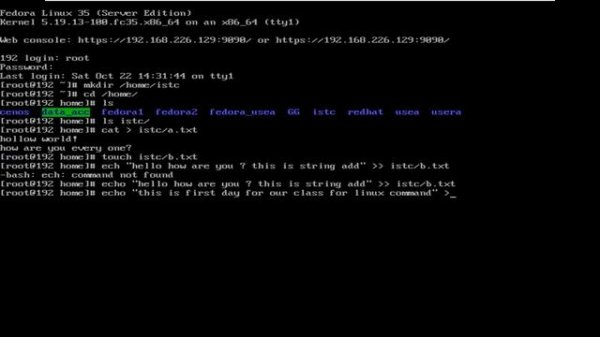 Using Command line in Linux - using command in terminal Server - How to use command line