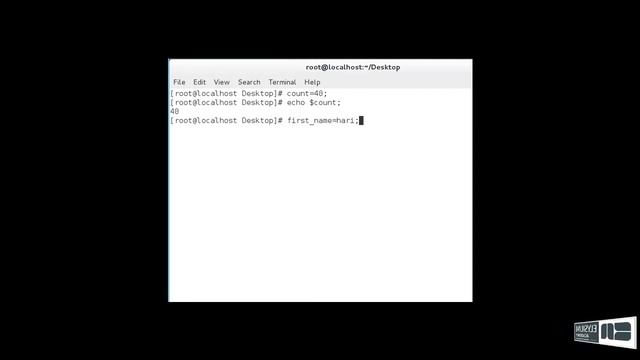 AWK Built-in variables смотреть онлайн