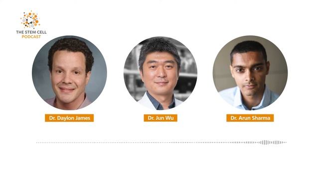 Interspecies Chimeras featuring Dr. Jun Wu | The Stem Cell Podcast смотреть онлайн