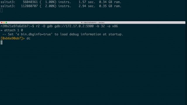Debugging a PANDA session with radare2 смотреть онлайн