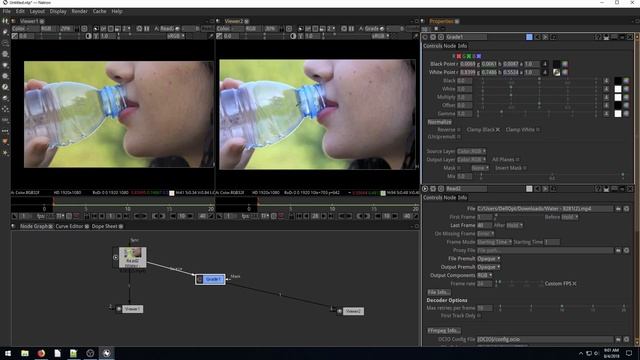 Natron Lesson 16 - GMIC Smooth Skin Filter for Video смотреть онлайн