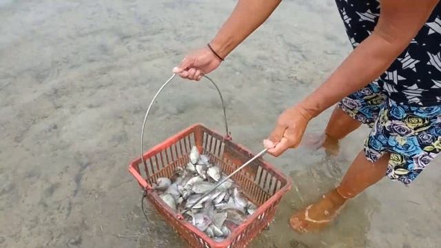HOW TO MAKE BONELESS DANGGIT Easy way | Deboning Danggit or Rabbit Fish | Moamboc Bantayan Cebu смотреть онлайн