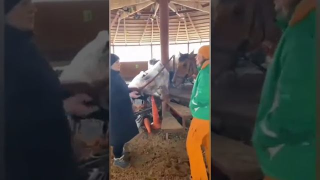 Праздник Масленицы 6 марта смотреть онлайн