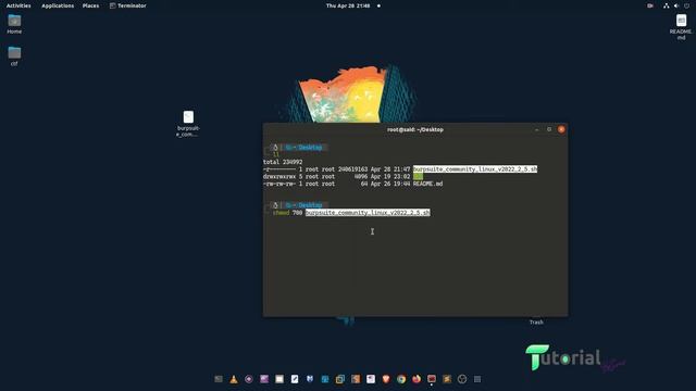 how to update burpsuite on linux смотреть онлайн