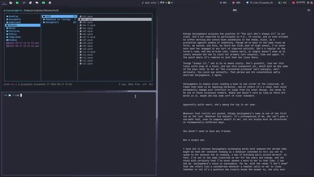 Archcraft bspwm workflow (Dracula theme) смотреть онлайн