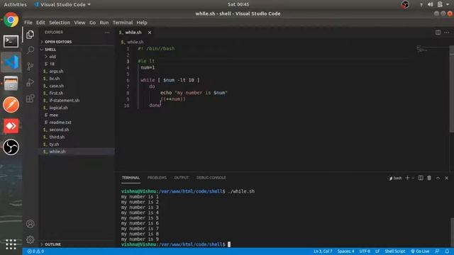 While Loop | #10 | Shell Scripting for Beginner or Developer in Hindi смотреть онлайн