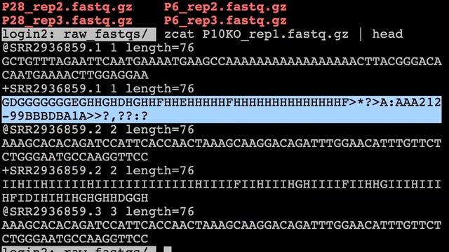 RNA-seq I Analysis- Day 1 смотреть онлайн