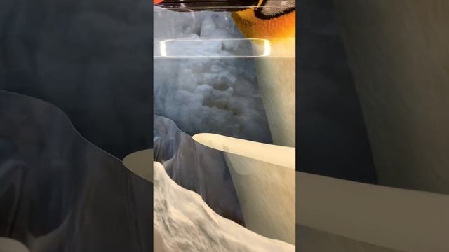 Наша фирменная оклейка авто