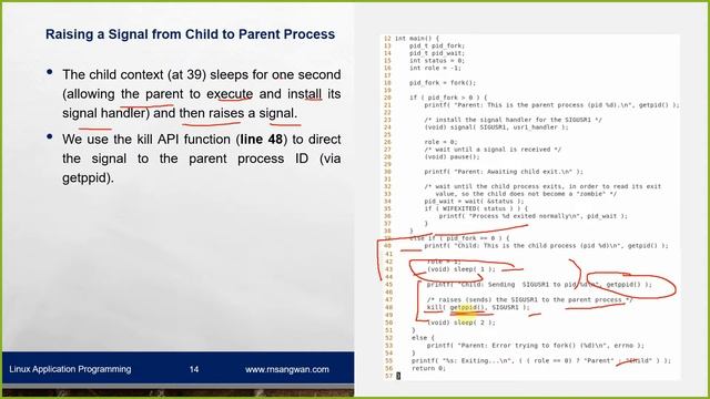 Session 11 GNU Linux Process Model | Linux Application Programming | Linux Programming смотреть онлайн