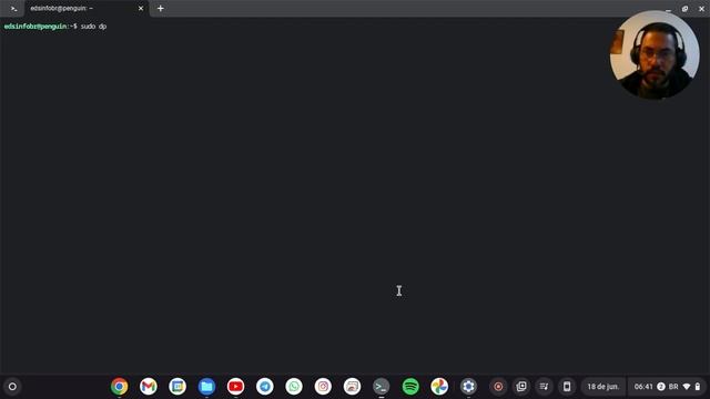 Ativando e instalando Apps Linux no ChromeOS Flex смотреть онлайн