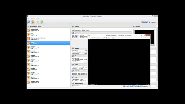 07. Puppet Introduction.mp4 смотреть онлайн