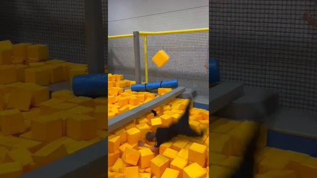 1000012164.mp4 смотреть онлайн