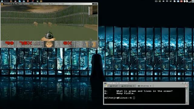 Slackware12 - KDE+DosBox+Doom2 (15mar2009) смотреть онлайн