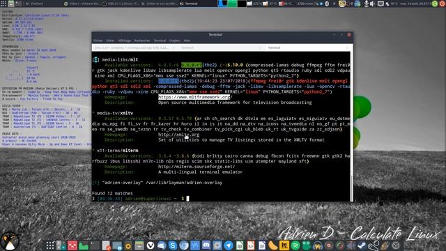 Kdenlive, memory leak et accélération : la solution ! смотреть онлайн