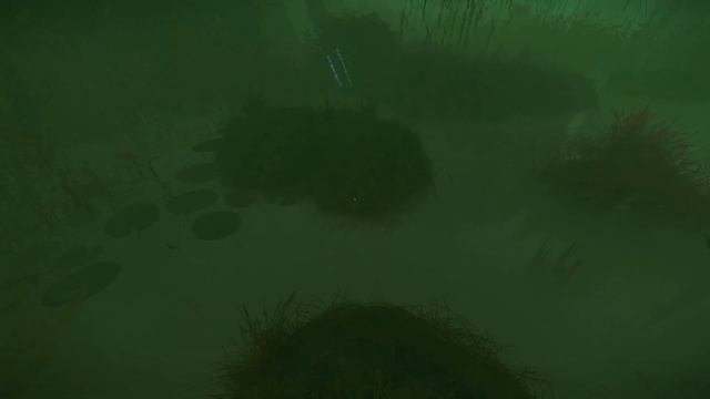 THE CURSED FOREST #2 - УТОМИЛСЯ БЕГАТЬ смотреть онлайн