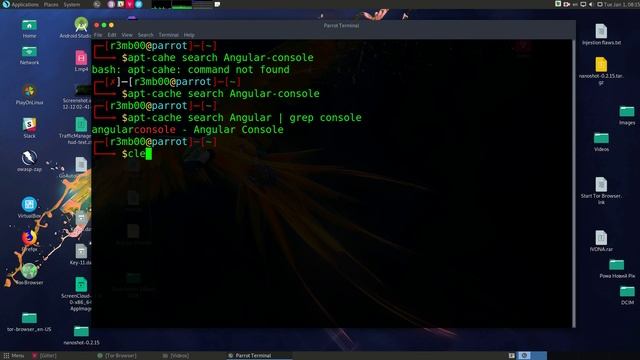 Install Angular Console on Parrot Security Linux смотреть онлайн