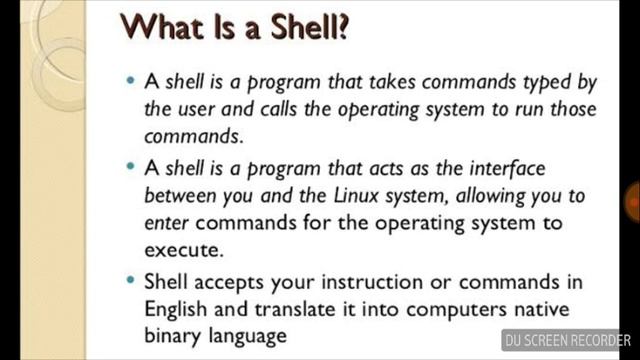 What is Shell | Operating System | Lecture in Urdu/Hindi смотреть онлайн