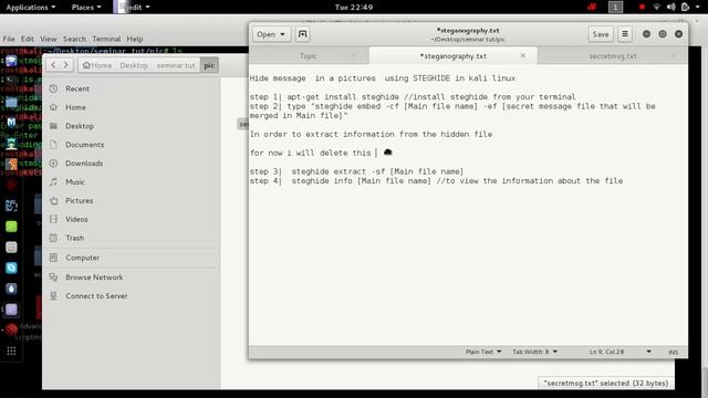 STEGHIDE in kali linux смотреть онлайн