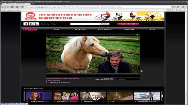 Browser linux 362...i'm a browser baby. смотреть онлайн