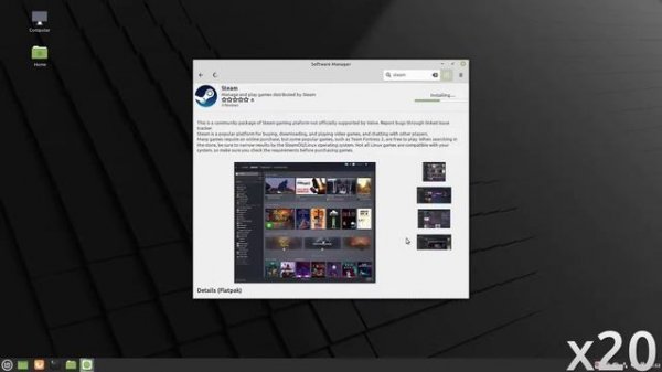 How to install Steam on Linux Mint 20