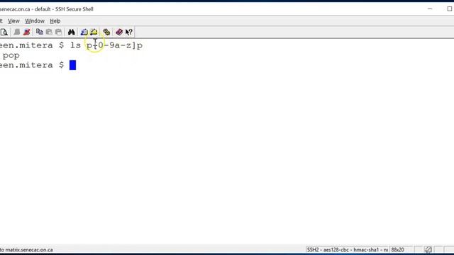 Linux: Filename Expansion смотреть онлайн